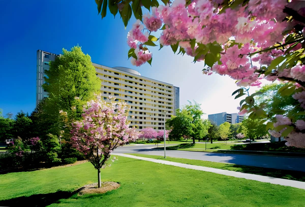 Cherryhill Village image 3