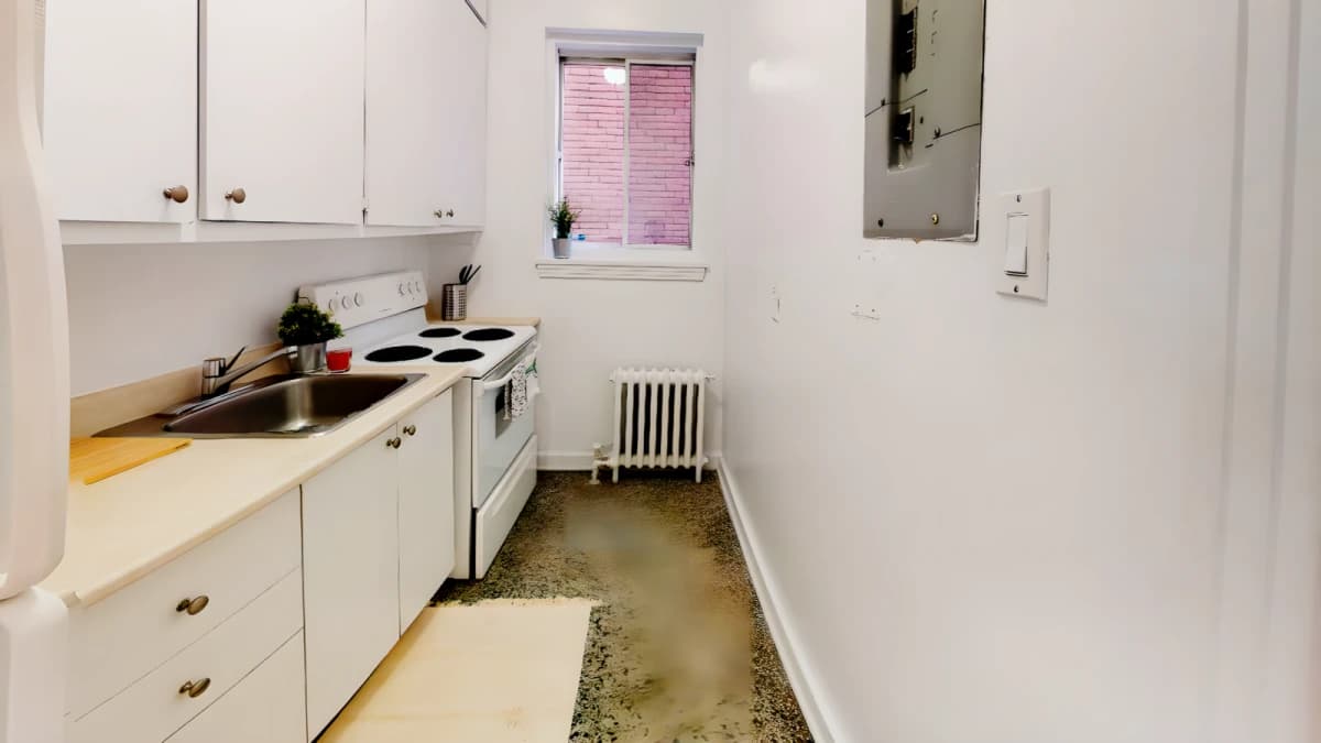 425 Elgin image