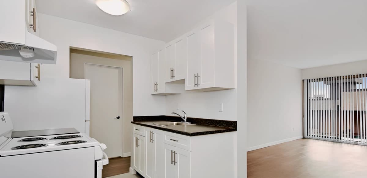 Arbutus Court image 5