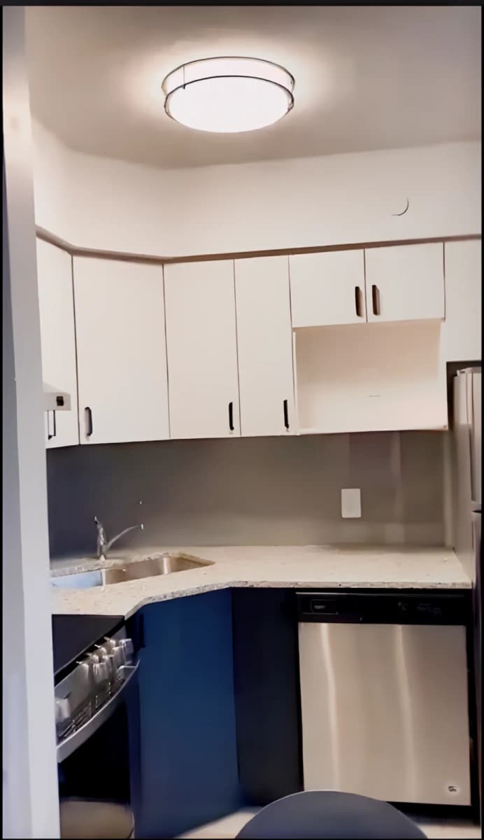 239 Albert St image 3