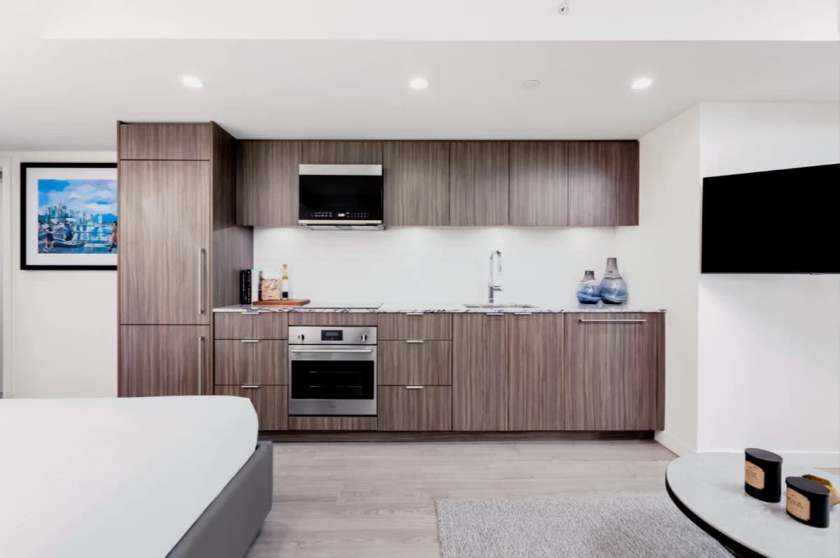 Level studio suite