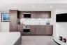 Level studio suite