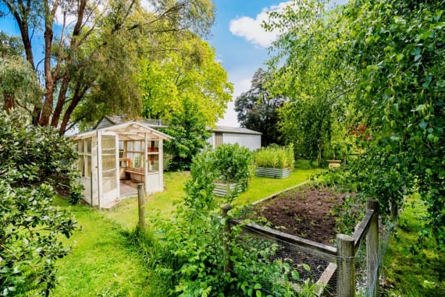 3 Bed, 1 Bath