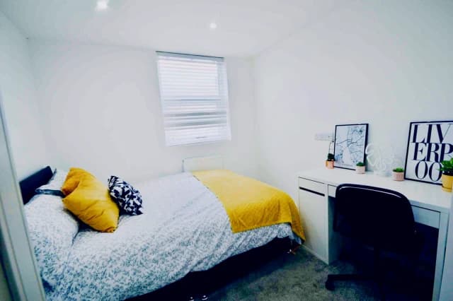 142 Upper Warwick Street, L8 image 5