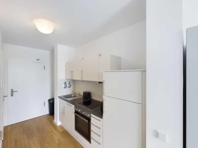 Splendid studio with balcony in proximity to Springpfuhl train station