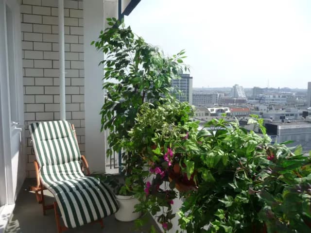 studio in Schöneberg image 3