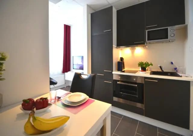 Lovely studio in a student residence, not far from Frankfurt main train station