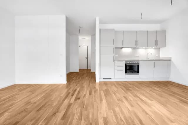 Unfurnished studio in Prinzenviertel