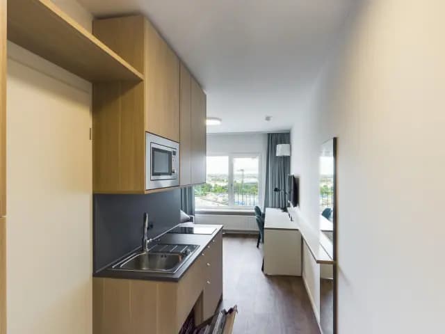 Charming studio in the Mitte district
