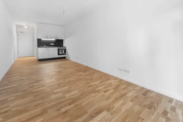 Unfurnished studio in Lichtenberg