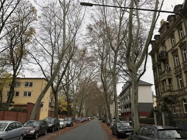 Zimmer in der Am Tiergarten
