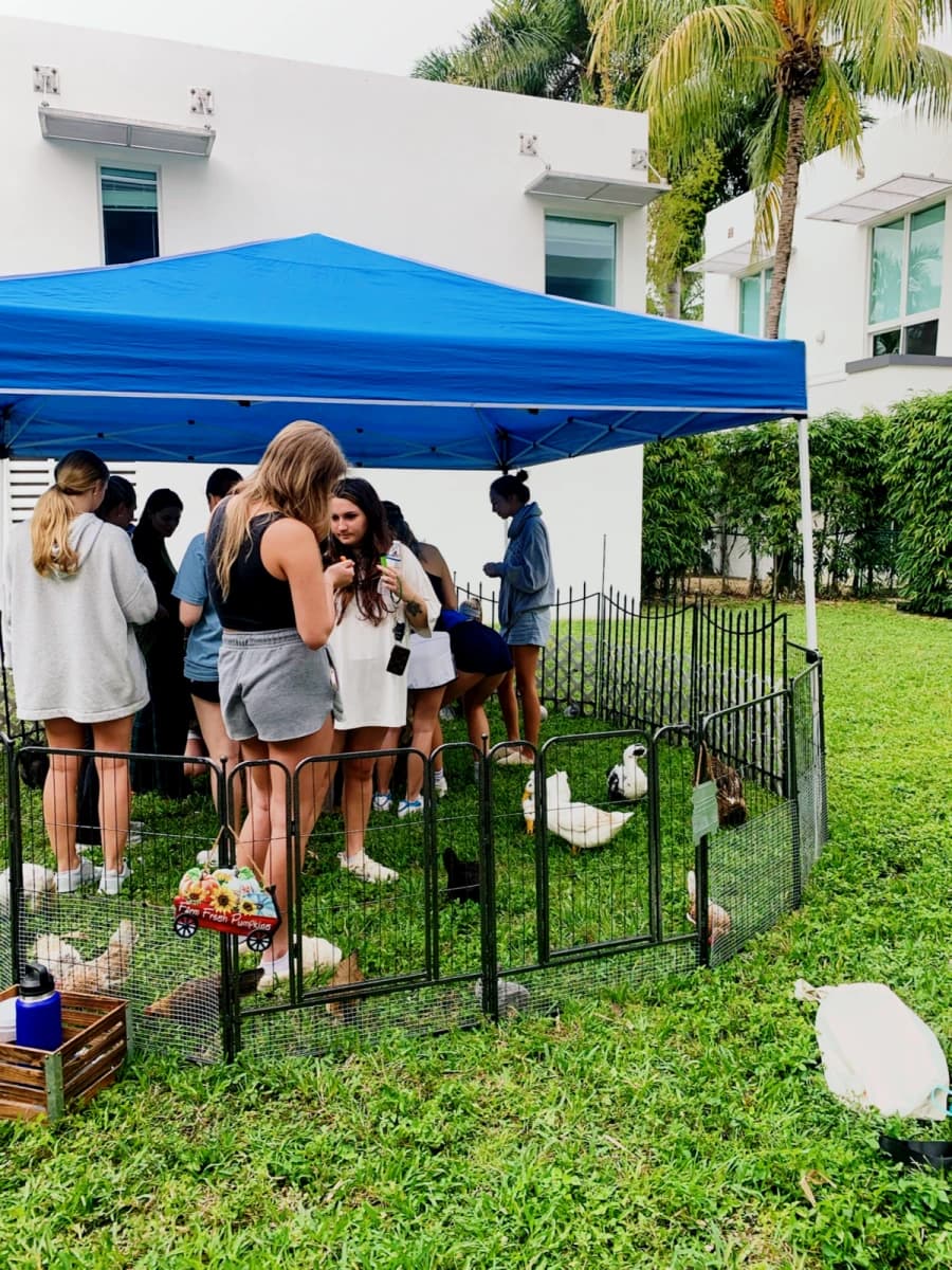 The Cloisters Miami image