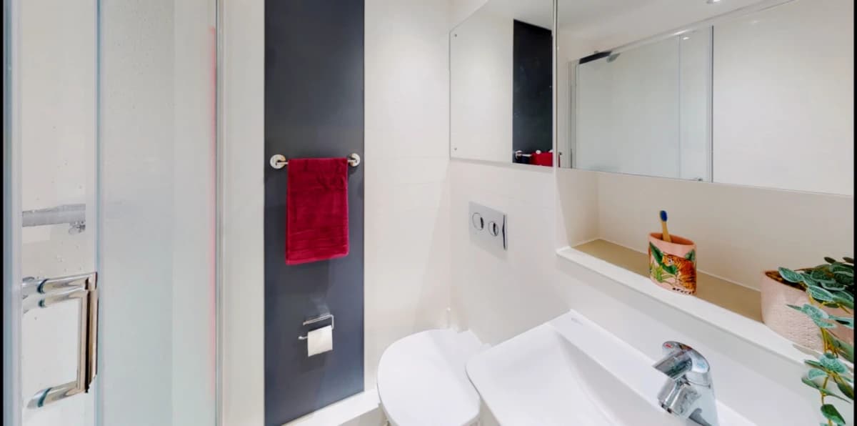 Canvas Manchester image