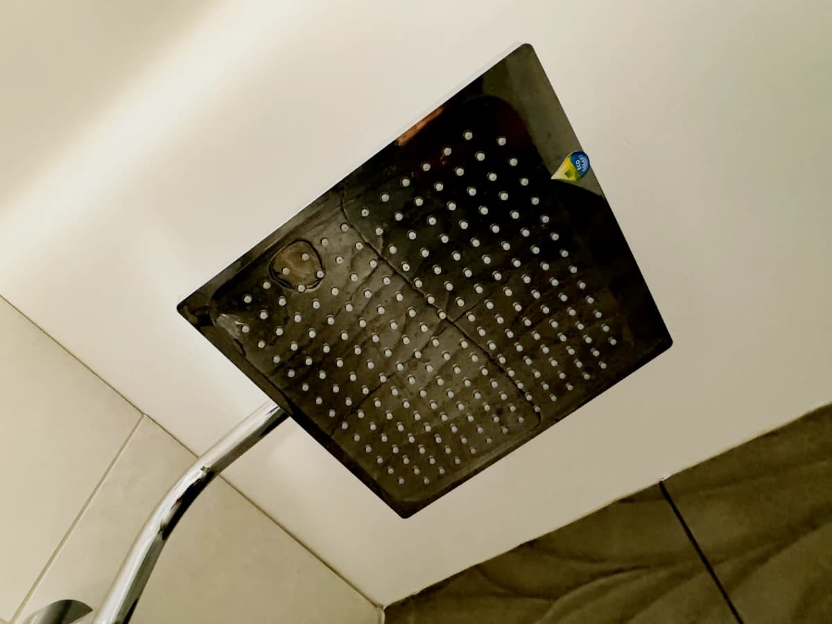 Dwell 121 Princess Street image