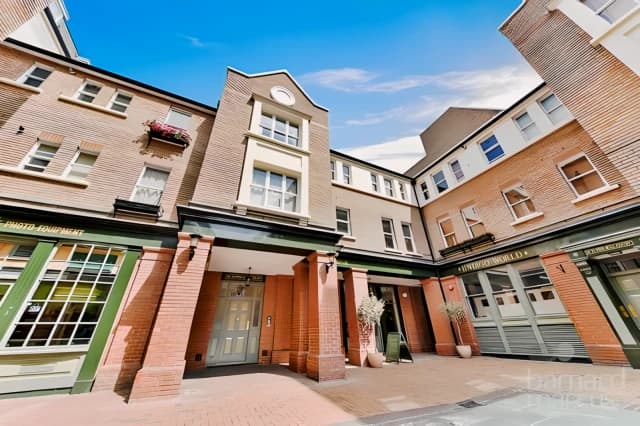 Pied Bull Court