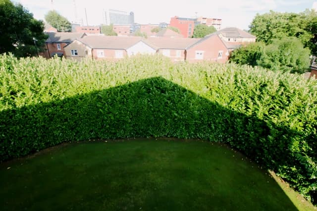 Broom Green B image