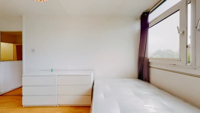 3 Bed / 1 Bath