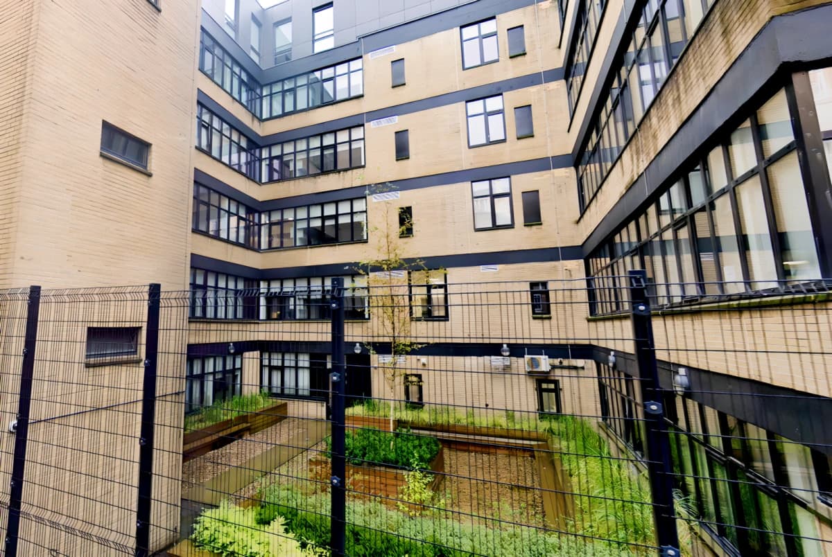 Outdoor Features