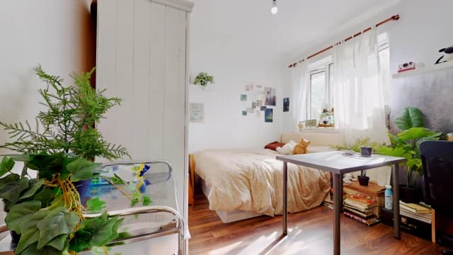 2 Bed / 1 Bath