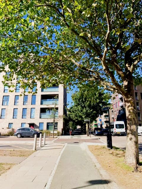 Mcgill House image