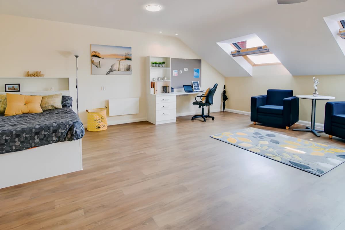 Platinum Studio Plus