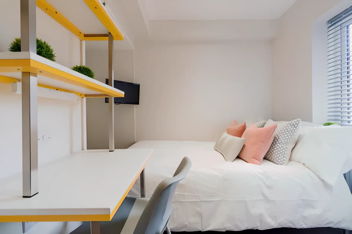 3 Bed 1 Bath