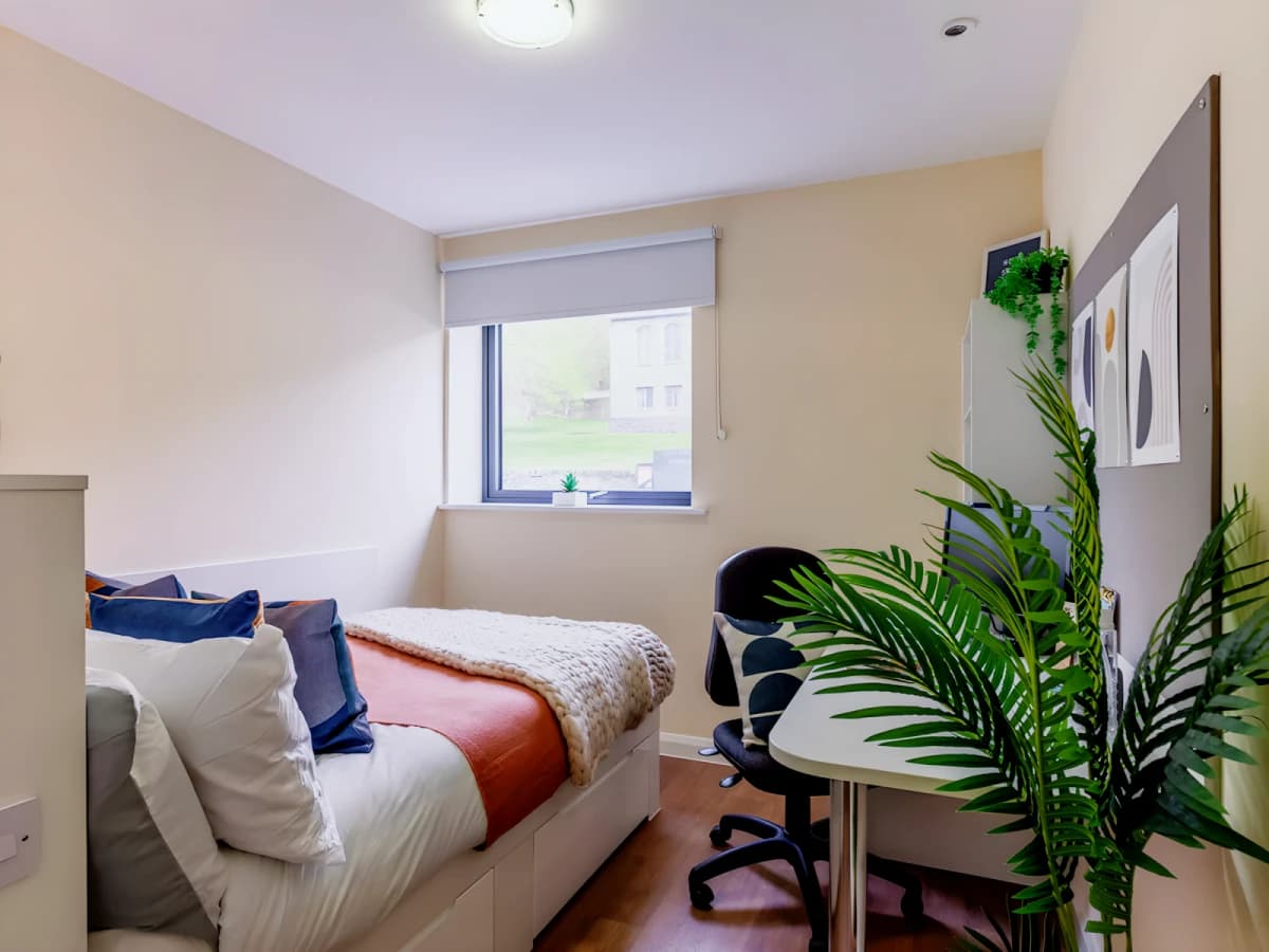 Bronze Plus Ensuite