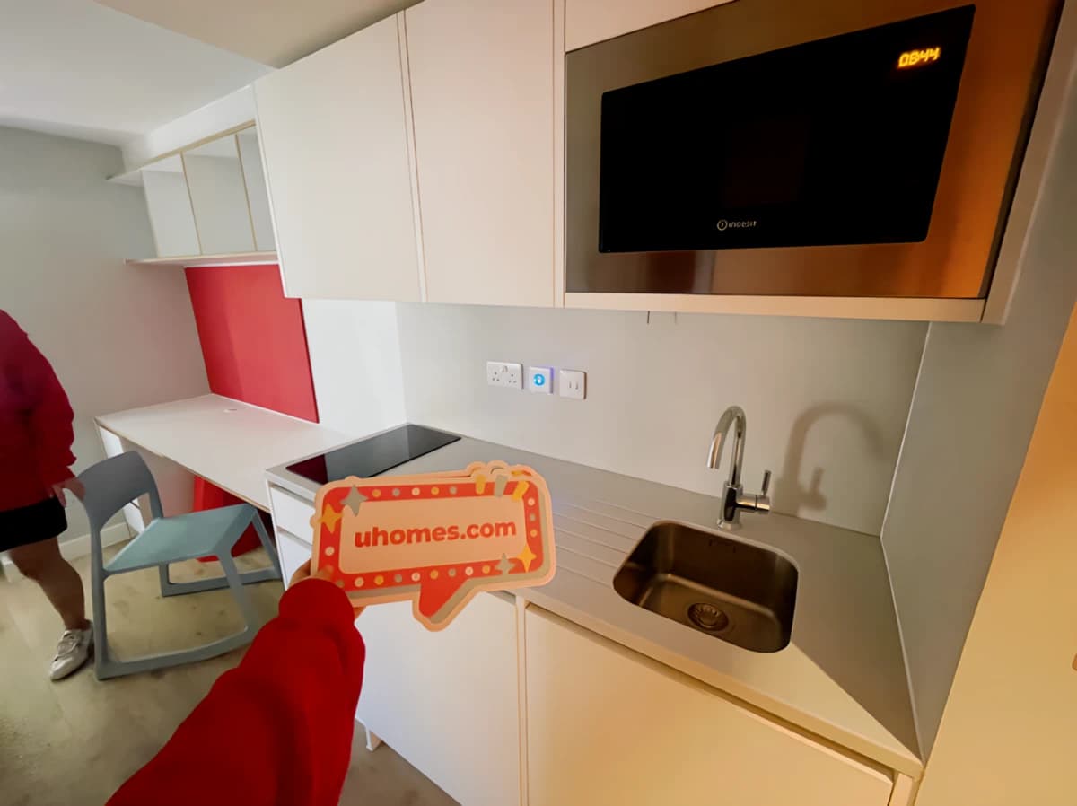 Electric Stove