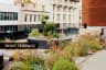 Outdoor Features