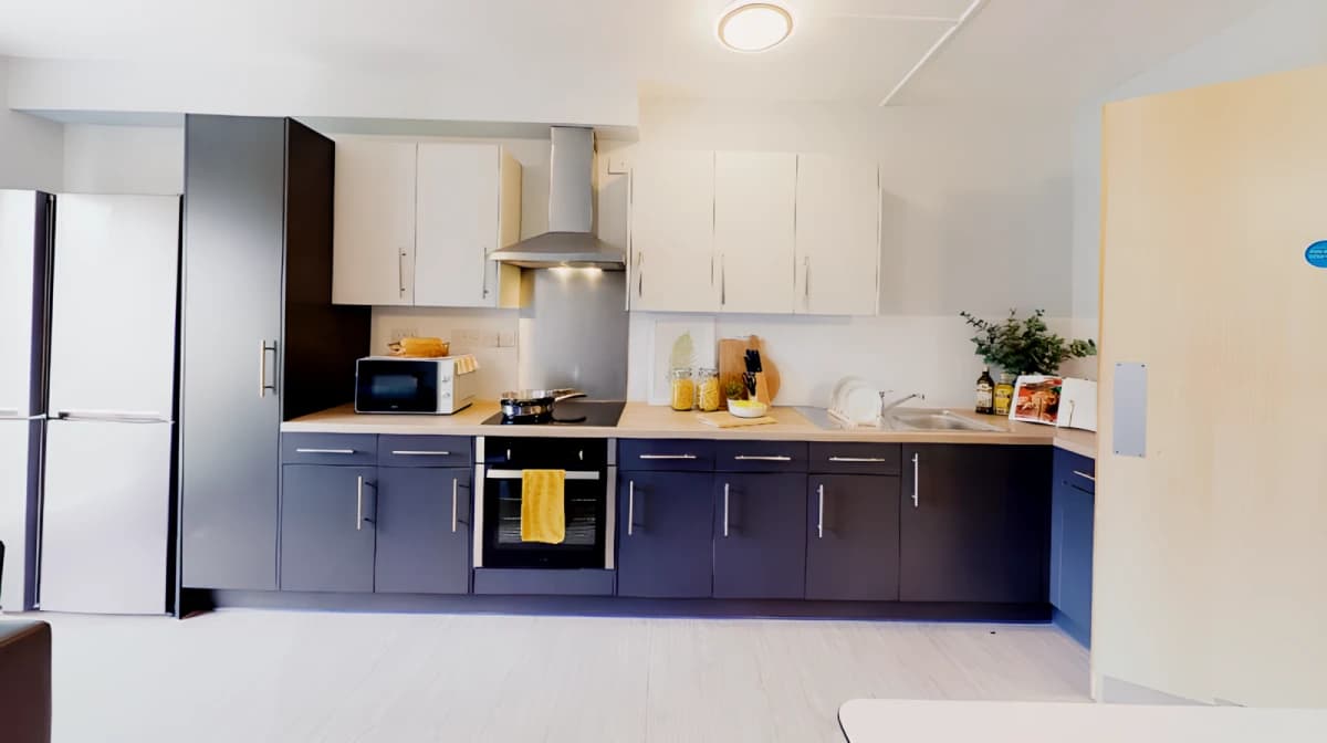 iQ Student Quarter image