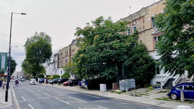 Lillie Road B image 3