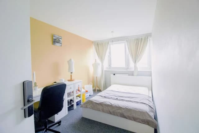 3 Bed / 1 Bath