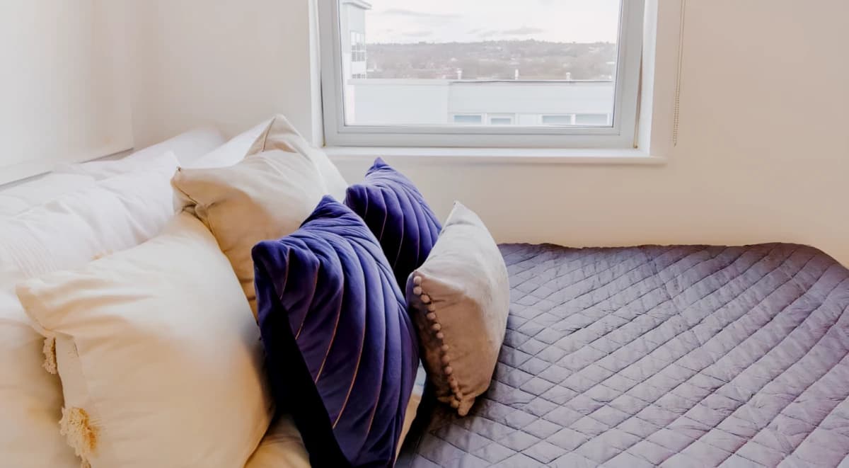 The Glasshouse image