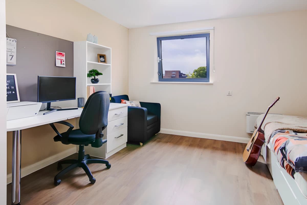 Gold Studio Plus