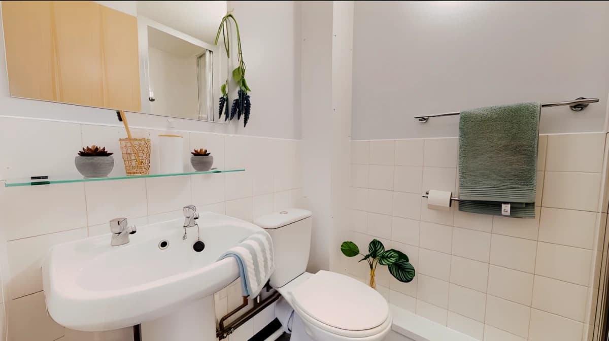 iQ Student Quarter image