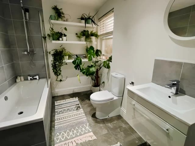 1 Bedroom 1 Bathroom