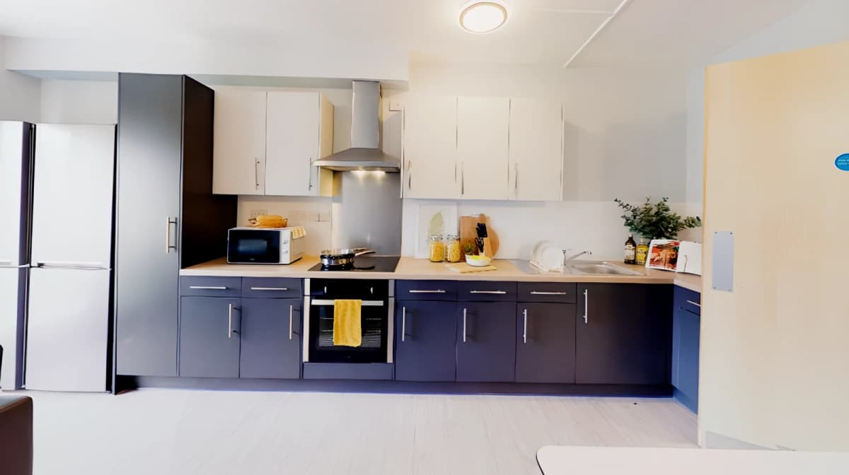 iQ Student Quarter image
