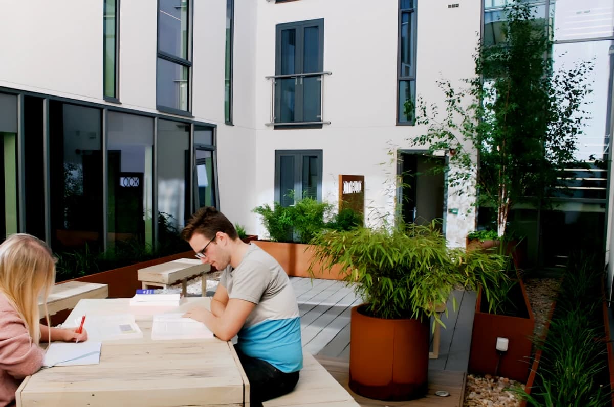 Outdoor Features