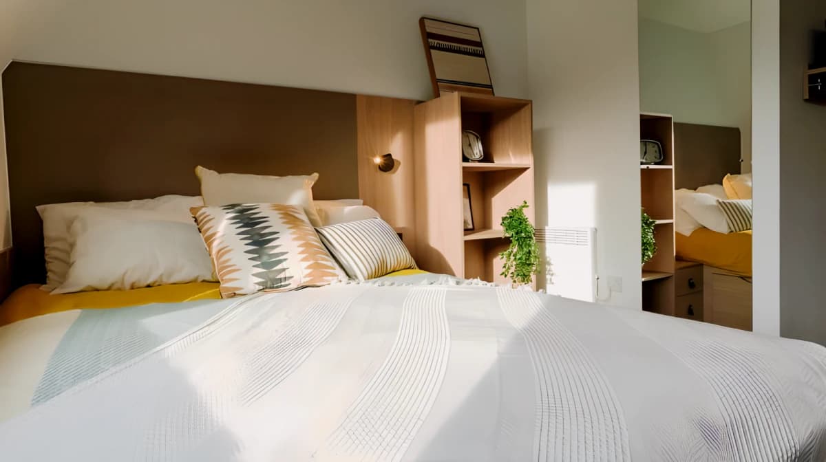Gold Studio Plus