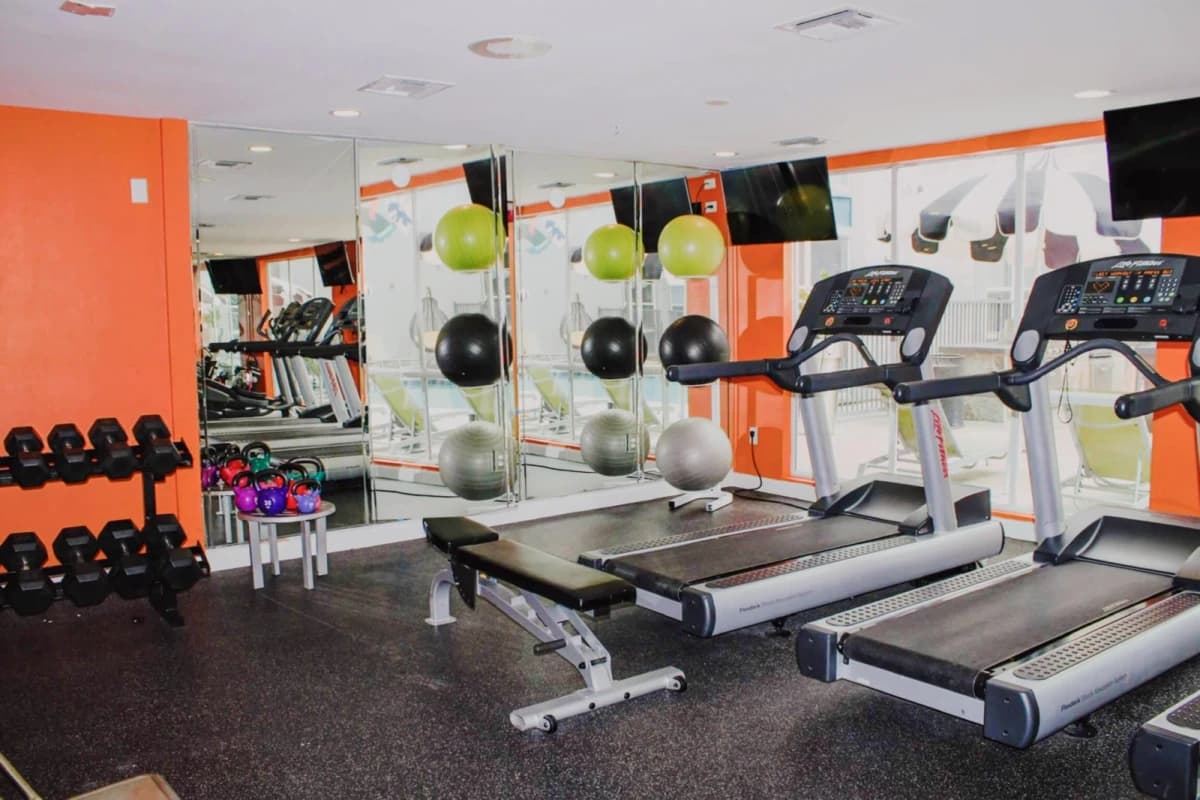 Sparq on Rio image