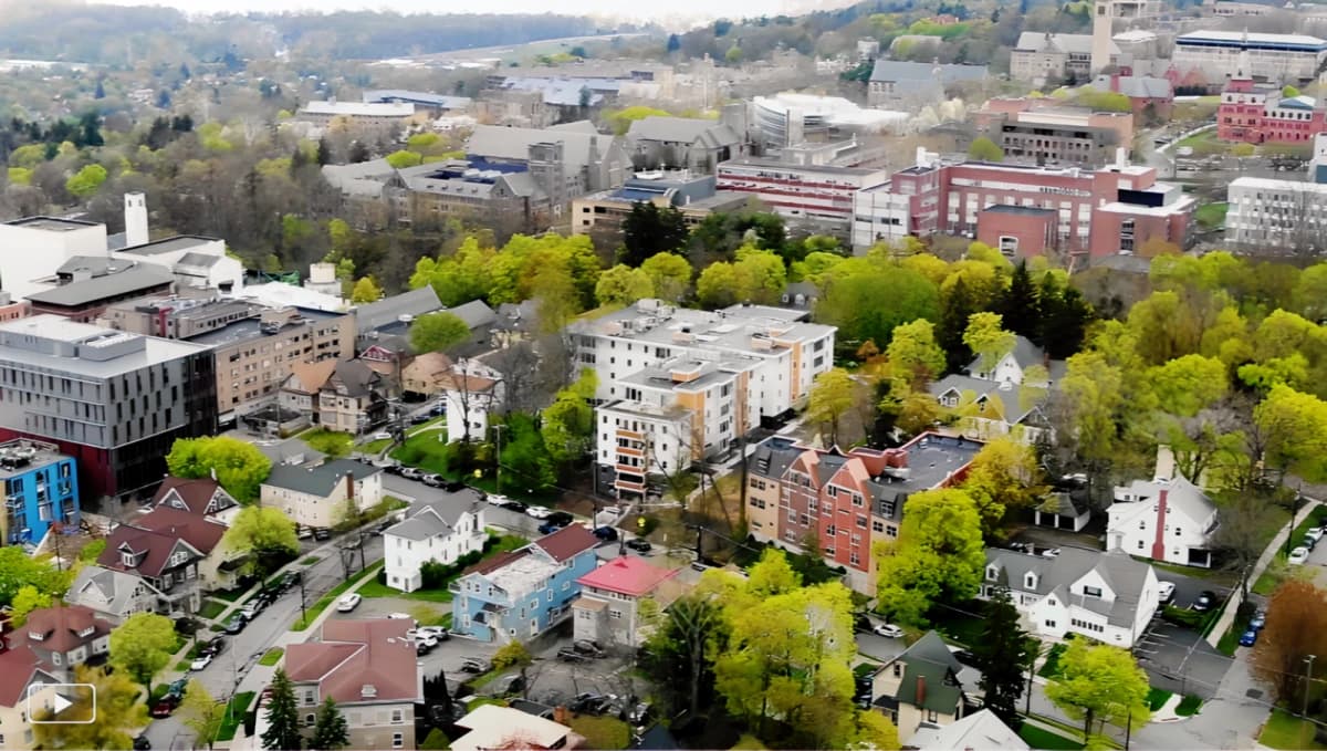 The Lux Ithaca image 5