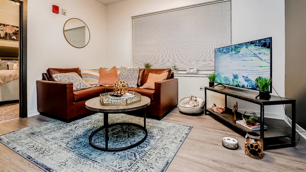 1 Bedroom / 1 bathroom