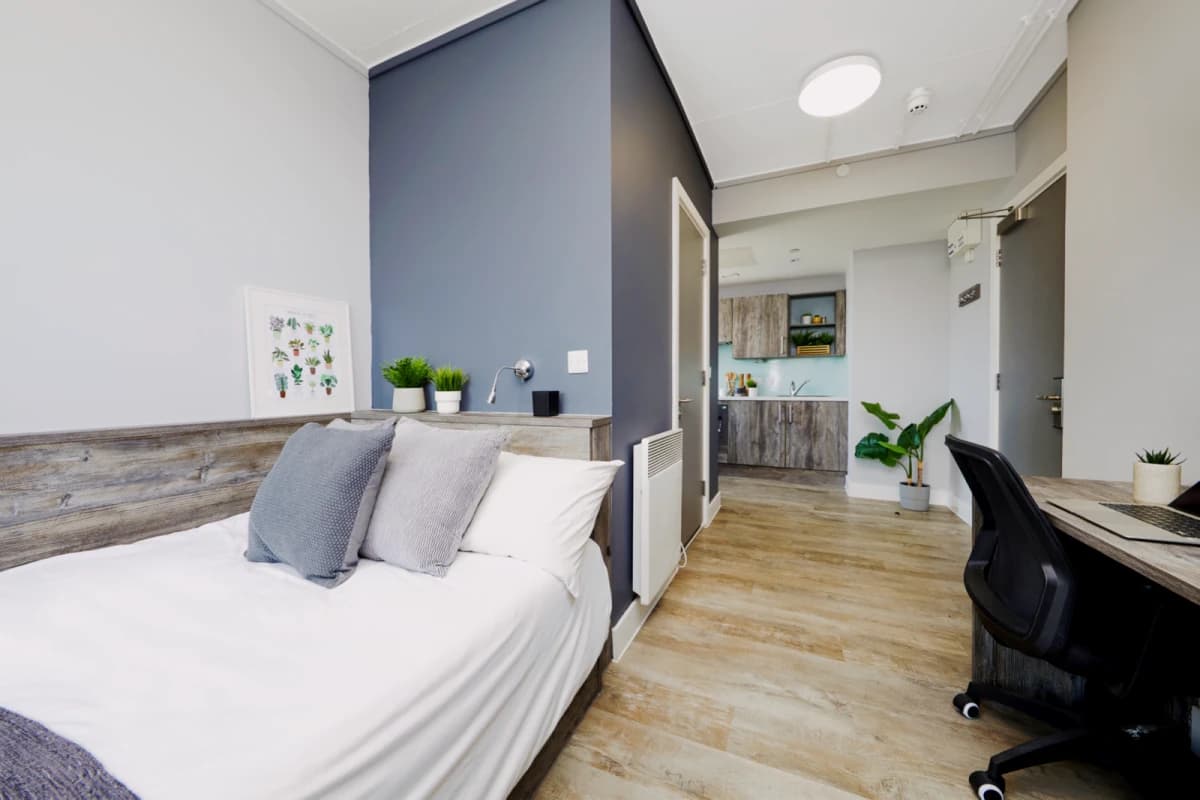 Premium penthouse Studio