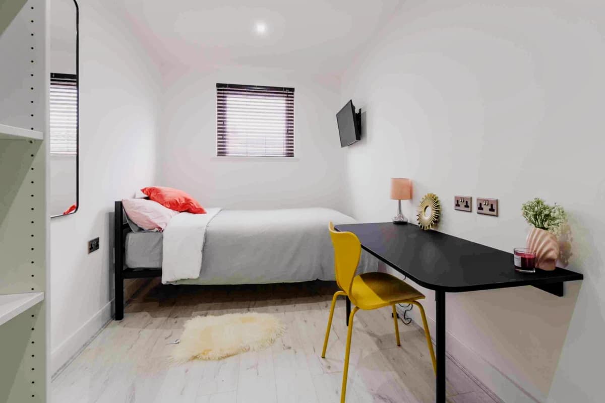 1 Beds 6 Baths