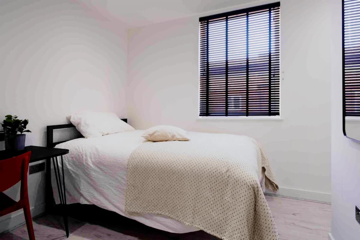 2 Beds 5 Baths
