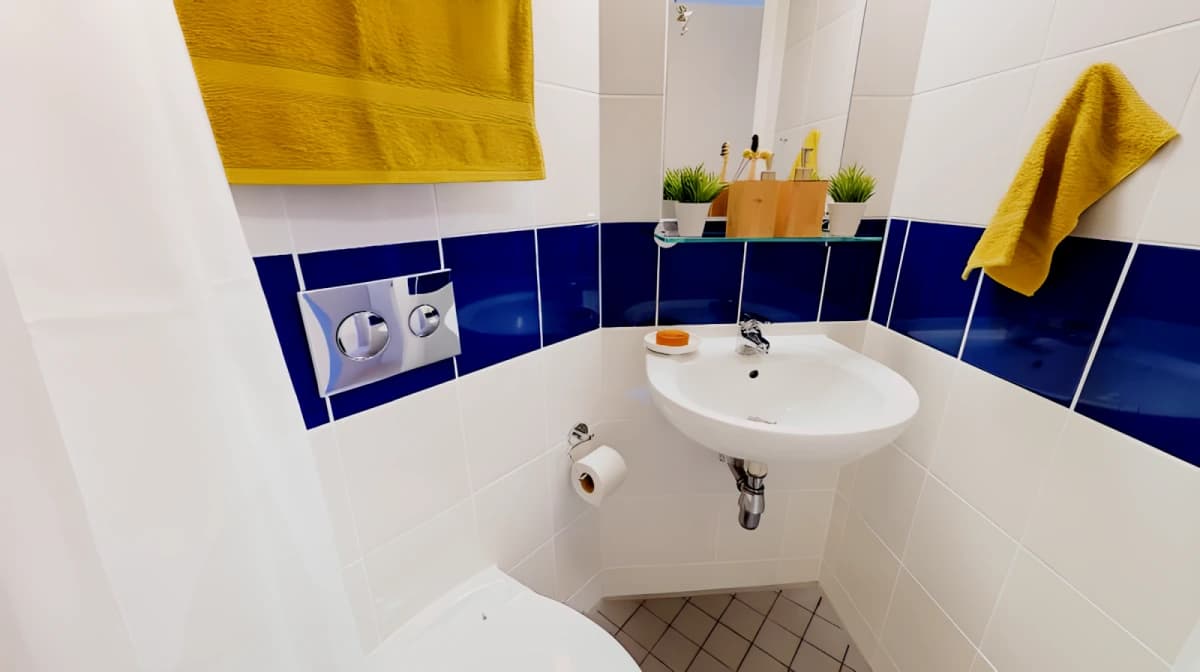 iQ Will Wyatt Court image