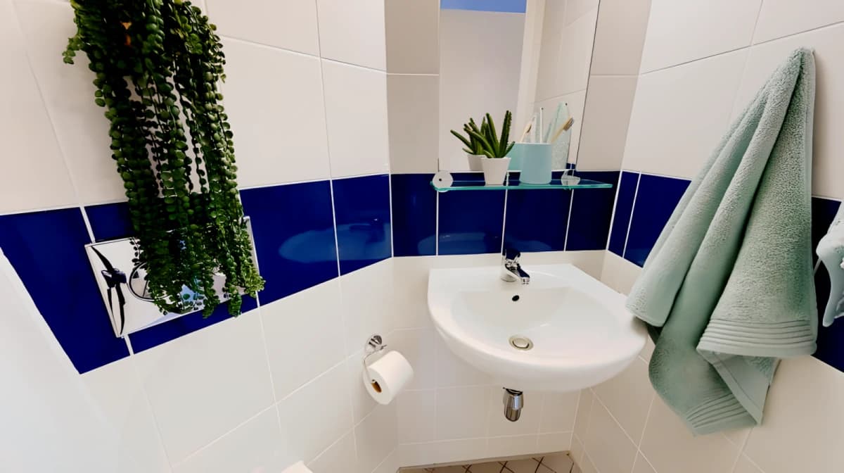 iQ Will Wyatt Court image