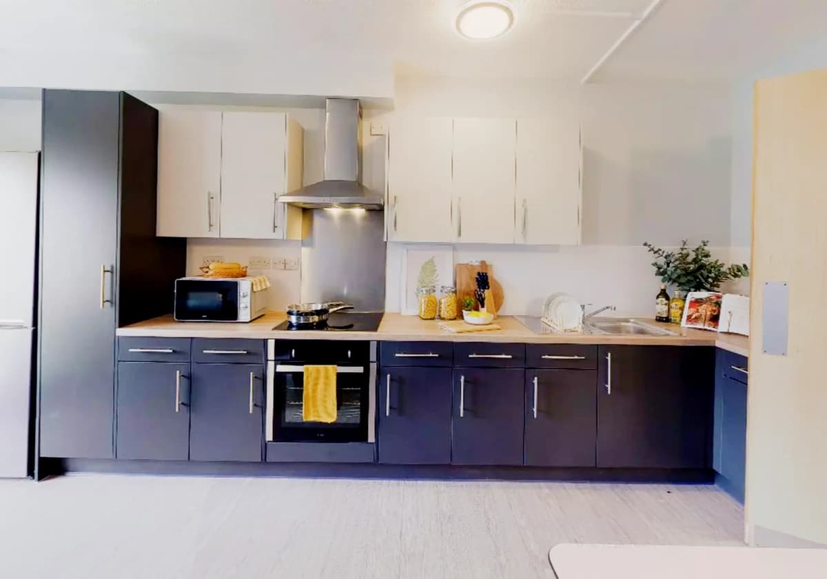 iQ Student Quarter image