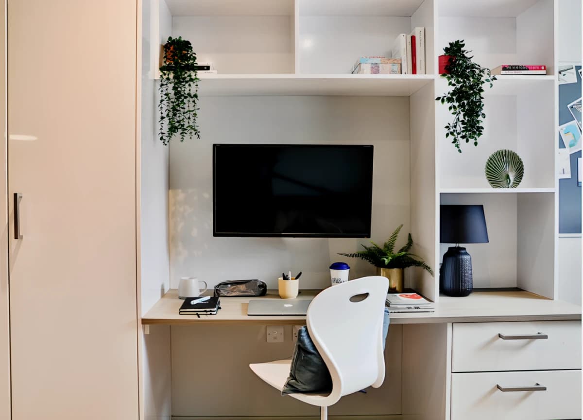 Classic Shared Apartment