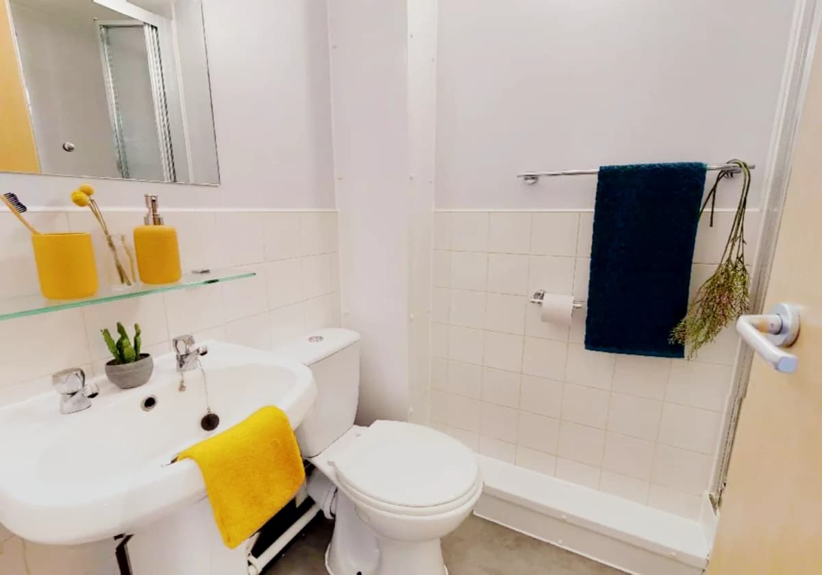 iQ Student Quarter image